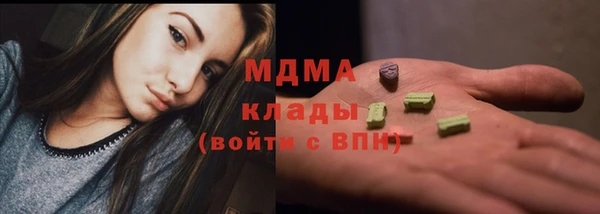 хмурый Арсеньев
