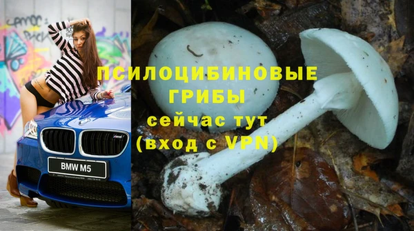 хмурый Арсеньев
