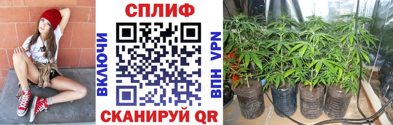 Купить  Бирск  Бошки марихуана гибрид 